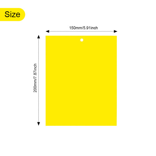 Rectangular insect traps 20-pack Yellow 1