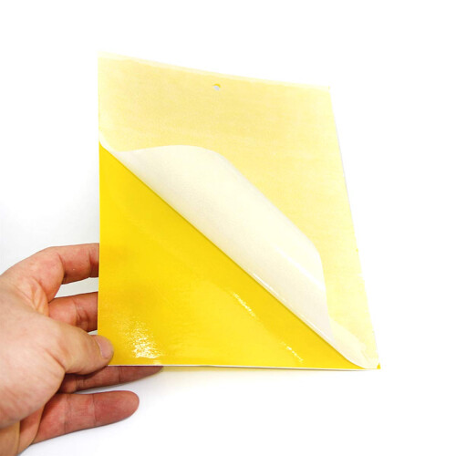 Rectangular insect traps 20-pack Yellow 2