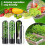 Vanilla Fresh-Keeping Box B Black, Closure Bags & Lids & Boxes 5