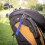 Affilacoltelli per mazze da golf Blue 5