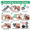 Kit com 100 conjuntos de botões para forrar tecidos, com ferramentas inclusas. Tamanho: 1,1 polegadas (2,8 cm). 6