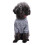 Hundejacke Winter Warmer Weicher Pullover XS-2XL 3