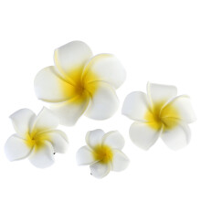 Hawajskie kwiaty, spinki do włosów, tropikalna plumeria, storczyk, 4 szt.