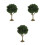 3Pièces Mini Arbres En Plastique Durable Pour Micro Paysage 4