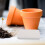 10Pièces Dessous De Plantes Diatomite Absorbant Jardin 4