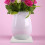 10Pièces Dessous De Plantes Diatomite Absorbant Jardin 5