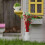 12Pièces Décorations Mini Plantes Pour Maquettes Décor Coloré Durable 7