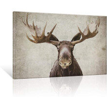 VELVET Elanafbeeldingen Elmer de Elan Muurdecoratie, 50x40 cm gespannen canvasprint, Vintage dierendecoratie voor woonkamer en slaapkamer
