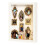 Kit YOCBZ Mini Museum Silhouette Box con cornici dorate e 6