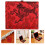 Boîte Accessoire Hautbois Avec Tissu Rouge 7