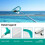 Pool Cleaning Net, Three-Section Pole, Long Handle Design, Convenient for Pool Cleaning, Removable Leaf Catcher 5