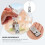 Silver Stainless Steel Dog Training Whistle Practical Bark Control 7