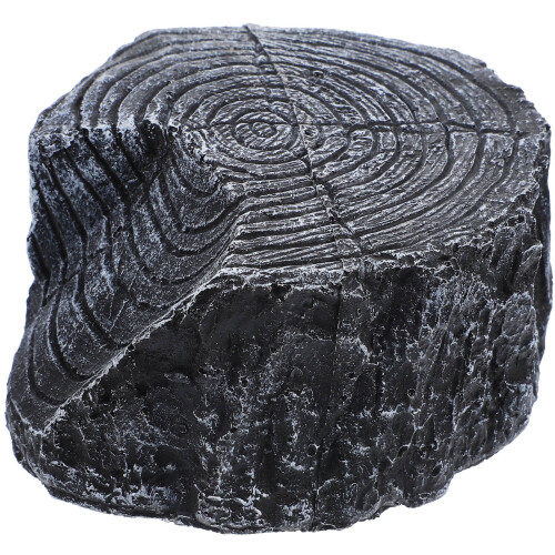 Stubhabitat Gemmested Krybdyrsstamme Firben Gemmested Huleskildpadde 2