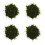 4Pcs Versatile Static Grass Scenery Kit for Model Railway and Crafts 8