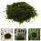 4Pcs Versatile Static Grass Scenery Kit for Model Railway and Crafts 11
