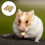 Hamster Accessory Khaki Square Wooden Indoor Play 1Pack 7