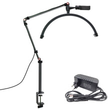 20W 16 Tum U-Formad LED Half Moon Beauty Lamp Ring Ögonbryn Tatuering Skönhetssalong Ögonfransförlängningslampa Svart EU-Kontakt