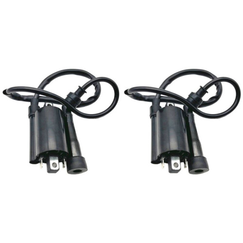 2pcs Motorcycle Ignition Coil Ignition System Unit for  V Star 650 1999 -2014 GN250 ATV 300CC