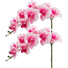 2 o 3 orquídeas artificiales realistas de 75 cm con 8 pétalos grandes – Ideales para bodas y decoración del hogar.