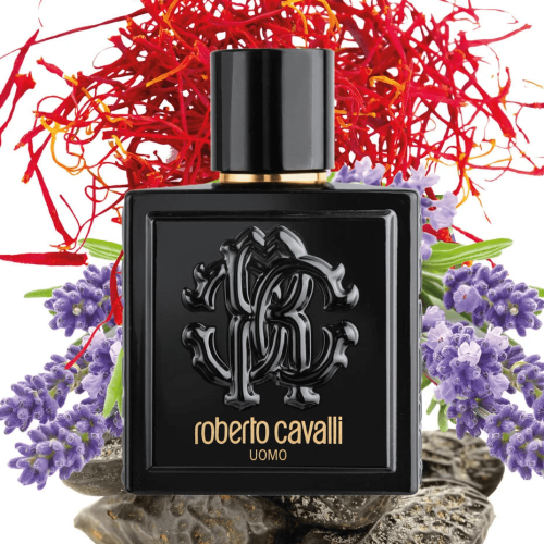 Roberto Cavalli Roberto Cavalli Uomo For Men-100 ml 2