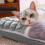 Dog Sofa Bed with Non-Slip Base, Washable, 50x35cm 5