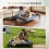 Lit surélevé pour chien avec coussin imperméable et filet1 7