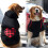 Sweat à capuche pour chien de grande taille (XXXXL) 4