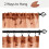 Burnt Orange Sheer Kitchen Curtains 30 x 24 in 2 Panels 6