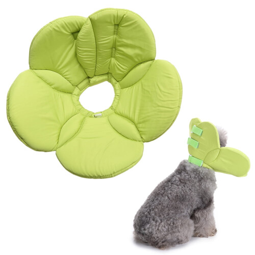Collier pour petits chiens, cône pour empêcher les chiots de lécher, vert 2