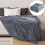 Plush Flannel Blanket Soft Silver Gray 70x100 2