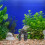 Acquario con rocce decorative, accessori per decorazioni. 2
