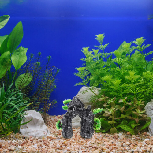 Acquario con rocce decorative, accessori per decorazioni. 1