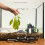 Acquario con rocce decorative, accessori per decorazioni. 5
