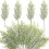 Ace de pin artificiale, ramuri, 30 buc., 34 cm 5