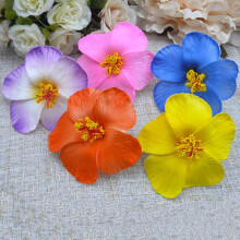 Lot de 9 pinces à cheveux hawaïennes en forme de fleur de frangipanier, idéales pour les mariages et les vacances à la mer.