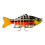 Δόλωμα Comefolife Lifelike Swimbait για Λαβράκι, Πέστροφα, Κράπι – Αργής Βύθισης, Γλυκού & 2