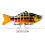 Δόλωμα Comefolife Lifelike Swimbait για Λαβράκι, Πέστροφα, Κράπι – Αργής Βύθισης, Γλυκού & 3