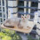 Assembly free folding cat hammock plush mesh cat window wall jumping platform double suction cup cat hammock 2