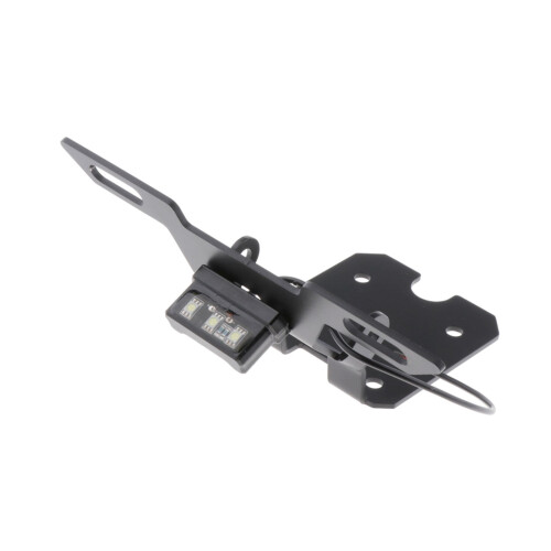 Motorcycle Rear License Plate Mount with Light 2
