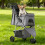 Poussette pliable et étanche pour petits chiens et chats 7