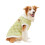 Hunde-Winterpullover Grün S-6XL 2