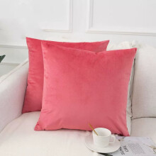 Juego de 2 fundas de cojín decorativas de terciopelo, fundas de almohada suaves para el hogar, sofá, coche, sala de estar, dormitorio, 16x16