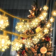 Guirlande lumineuse de Noël en forme de flocon de neige, 6 m, 40 LED, étanche, pour la décoration de chambres, d'extérieur et de patios (blanc