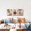 Σετ 3 τεμαχίων Boho Wall Art: Μινιμαλιστικές εκτυπώσεις με φοίνικες και αφηρημένη φύση, 3