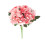 Bláthanna Saorga Hydrangea Síoda Bándearg OUNONA 5