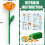 Blombukett Adventskalender 2025 24 dagar 3