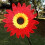Ανεμόμυλοι EASTIN Sunflower, Ανεμόμυλοι κήπου 14" για διακόσμηση γκαζόν και αυλής – 1