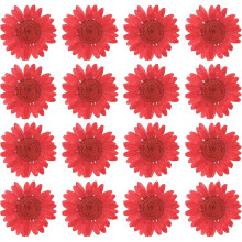 48PCS Dried Daisy Flower, Vacuum Packaging, Pressed Flower for House Decoration, Jewelry Making, Phone case Decoration