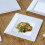 10 Pieces 6" White Plastic Square Plates Disposable Party Tableware 2