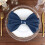 BalsaCircle5Pieces20" Servetter i polyestertyg marinblå 7
